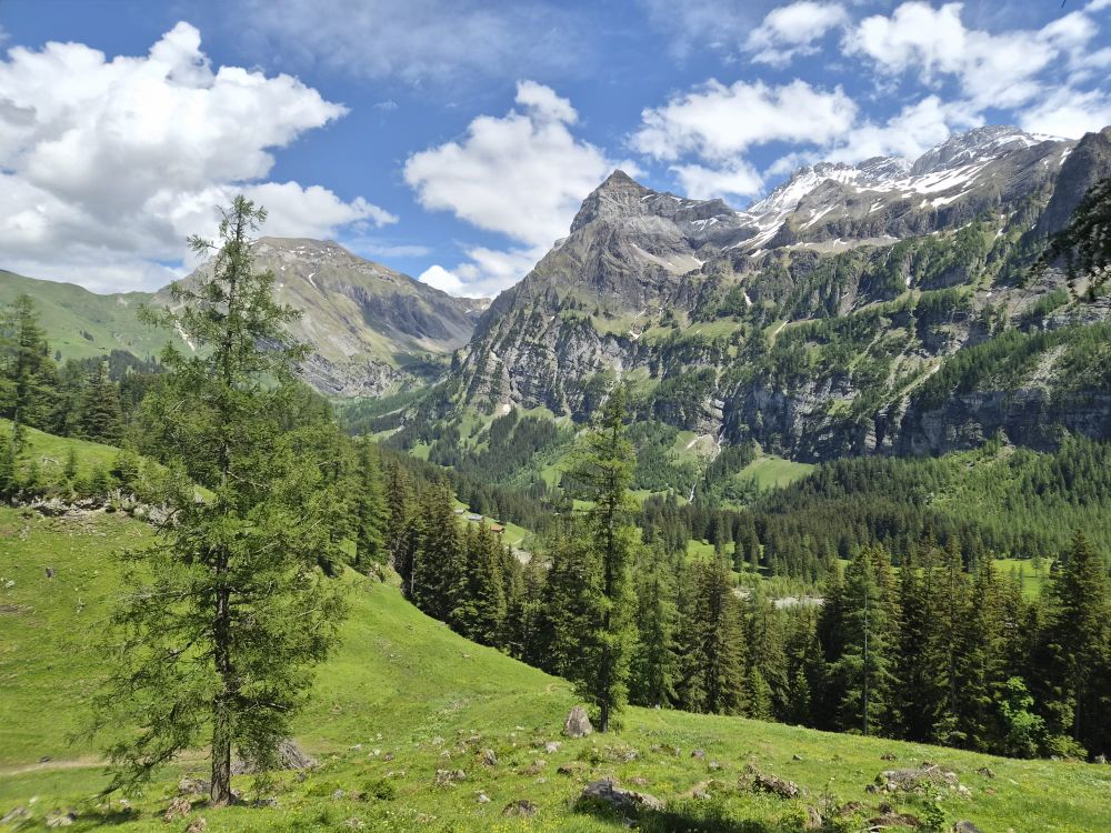 Bild%204